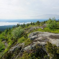 Зато какая красота! :: Ольга Чистякова Зато какая красота! :: Ольга Чистякова