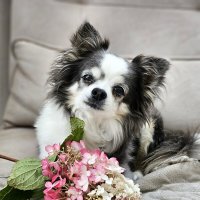 Моя любимая. :: Галина Левина