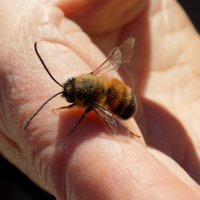 ... :: Константин Штарк