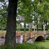 Китайский мостик :: Сапсан 