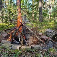 Пляс огня :: Денис Бочкарёв