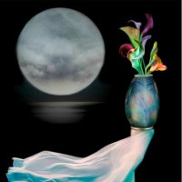 Лунная  рапсодия  (в стиле импрессионизма) :: Е.М. ***