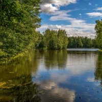 Вторая половина Августа 12 :: Андрей Дворников