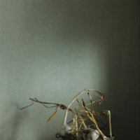 Просто так :: Валентина 