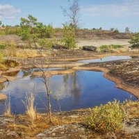*** :: Сергей Могутов *** :: Сергей Могутов