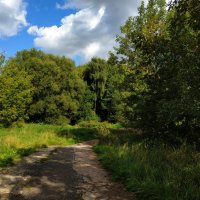 * * * :: Андрей Лукьянов * * * :: Андрей Лукьянов