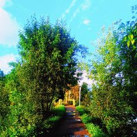 Дорожка на прудах :: Сергей Кочнев