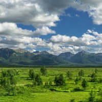 ... :: Жора Житников