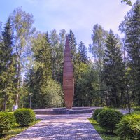 У д.Новоселово :: Сергей Цветков