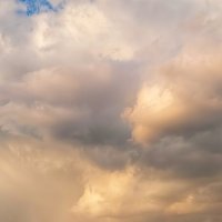 После дождя :: Оксана Н.