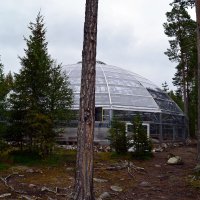 Купол над Петроглифами на Каменном острове :: Ольга Купол над Петроглифами на Каменном острове :: Ольга