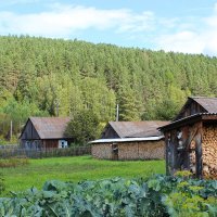 Деревенский пейзаж.. :: Василий 