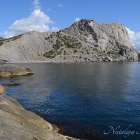 Природа Крыма :: Amazing Cosmea