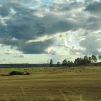 ****** :: ИННА ПОРОХОВА