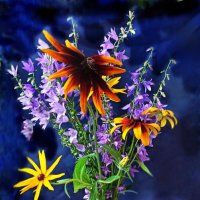 Страничка уходящего лета... :: veilins veilins