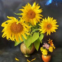 Лето катится к сентябрю... :: veilins veilins