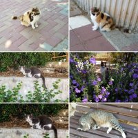 " :: Светлана Хращевская " :: Светлана Хращевская