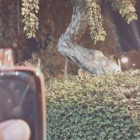 13  ОПЕН (249) :: OPEN WAYS ALL