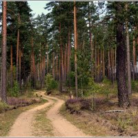 *** :: Aleksandr Gal *** :: Aleksandr Gal