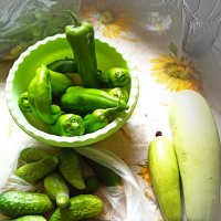 Дары природы :: Татьяна Осипова(Deni2048)