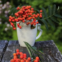 Композиция с веточками рябины.. :: Татьян@ Ивановна