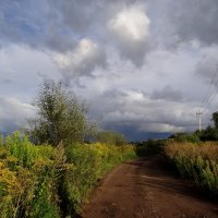 Будет дождь.. :: Антонина Гугаева