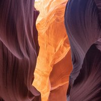 Линии ;-) :: Алексей Пышненко