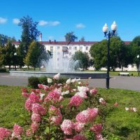 В летнем парке! :: Нина Андронова