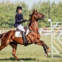 Конкур :: SanSan 