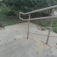 Ходють тут всякие :: Валерий Иванович