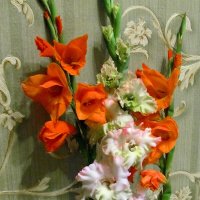 Детали природы :: Роман Савоцкий