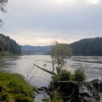 Катуньский берег возле базы отдыха "Сердце Алтая " :: Мила Бовкун