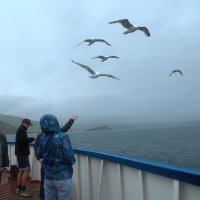 Спутники парома :: Танзиля Завьялова