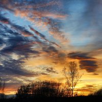 Закат :: Oleg S