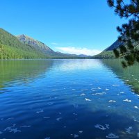 Алтай :: Андрей Л. В. Алтай :: Андрей Л. В.