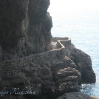 Природа Крыма :: Amazing Cosmea