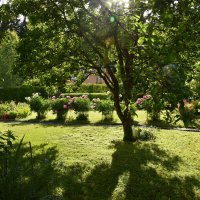 тенистое :: tatiana 