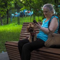 ***** :: юрий поляков