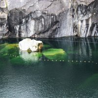 Мраморный каньон :: Любовь ***