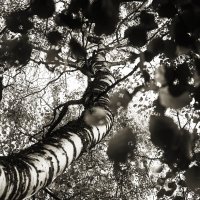 Назва. отсу. :: Денис Безногов