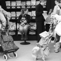 .... :: Юрий Самсонов