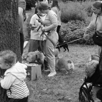 .... :: Юрий Самсонов