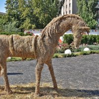 Жаль, нельзя прокатиться!.. :: Валентина  Нефёдова 