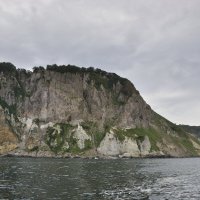 Суровая Камчатка :: Марина Виноградова