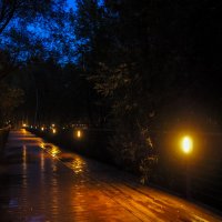 Вечер в Городе :: юрий поляков