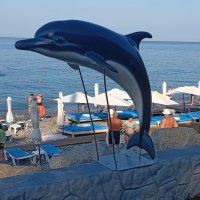 Дельфинчик :: Serega SchütZ