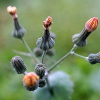 ... :: Андрей Катков