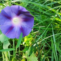 ,,, :: Сергей Тимоновский ,,, :: Сергей Тимоновский