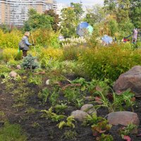 ОСЕННИЕ ХЛОПОТЫ. :: Виктор Никитенко