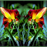 ЗАРИСОВКА С ТЮЛЬПАНАМИ :: Владимир Кроливец